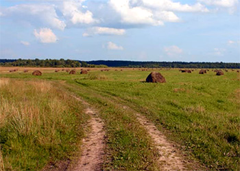 Продажа украинской земли через интернет