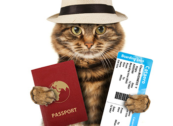 Кому из украинцев разрешили фотографироваться на паспорт в головных уборах