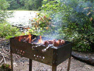 Как увеличили штрафы за нарушение пожарной безопасности в лесах в 2020 году