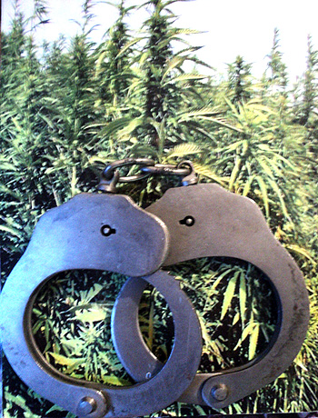 Студентку Х. задержали с наркотиками и за распространение видеопродукции, пропагандирующей культ жестокости и насилия